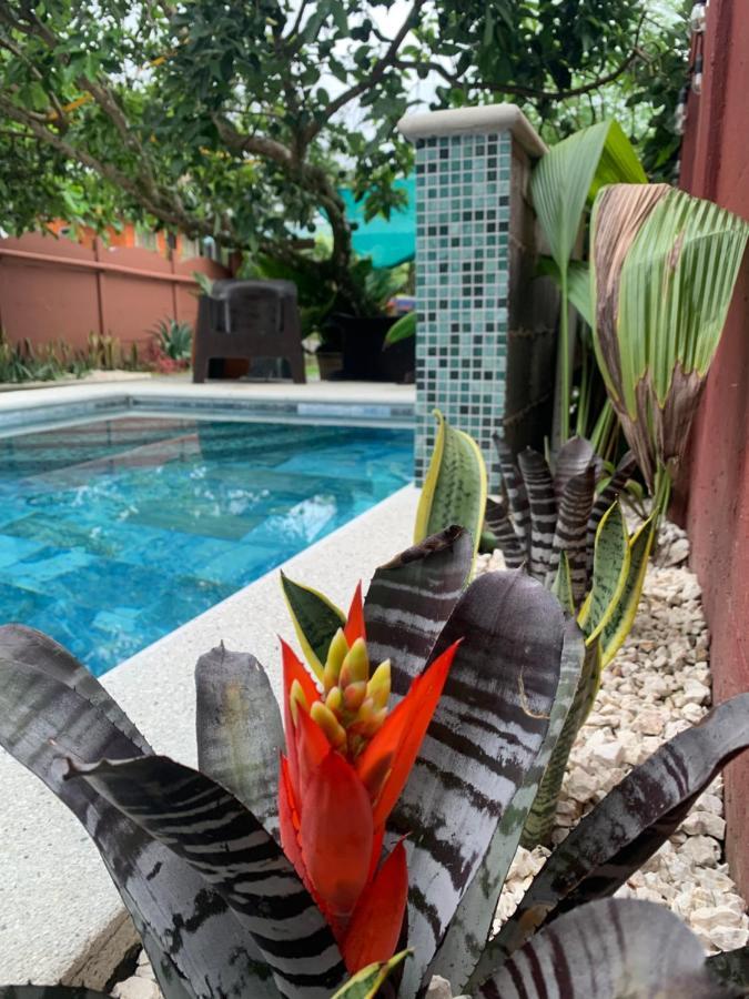 Villa Jade, La Fortuna Downtown ภายนอก รูปภาพ